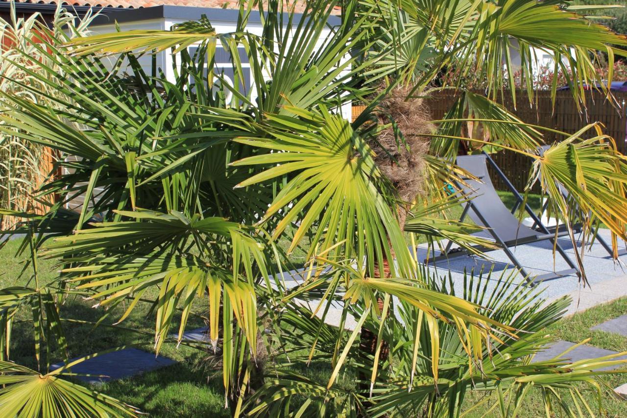 L'Entrelacs Chambre D'Hotes Avec Piscine ,Proche Golfs Et Bassin D'Arcachon Sanguinet Exterior foto